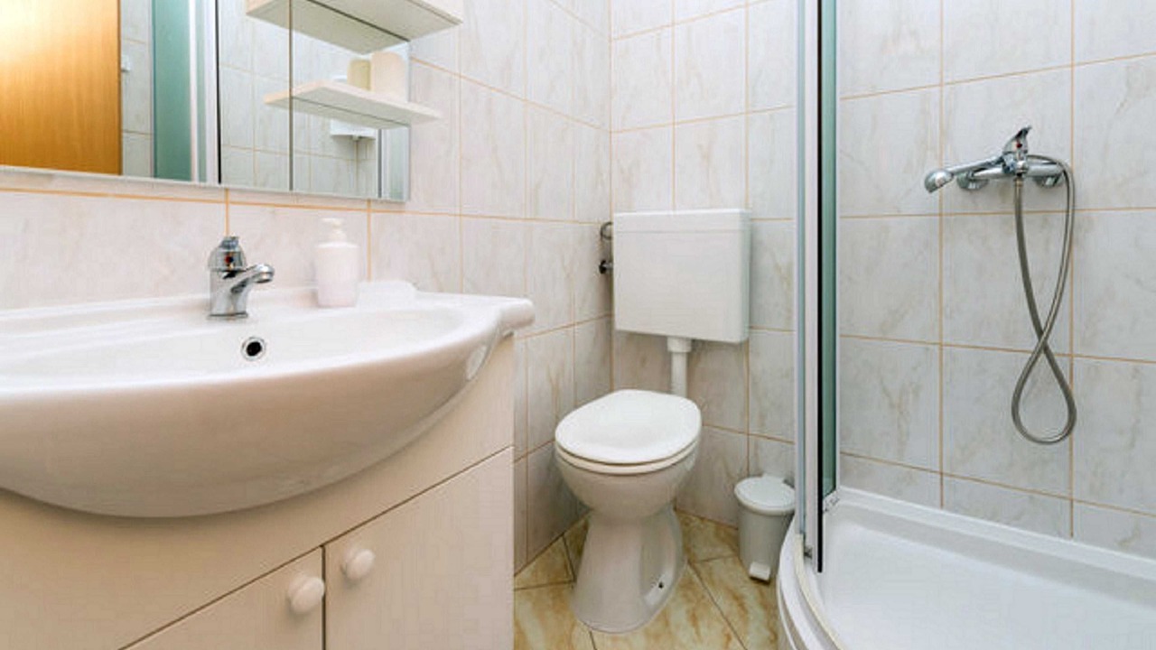 Photo of Bathroom in Zupa dubrovacka