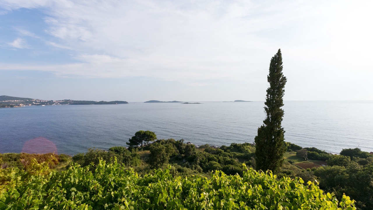 Photo of Others in Zupa dubrovacka