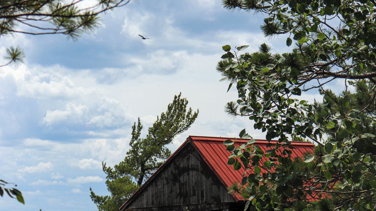 Photo of Outdoor in Ville-Marie