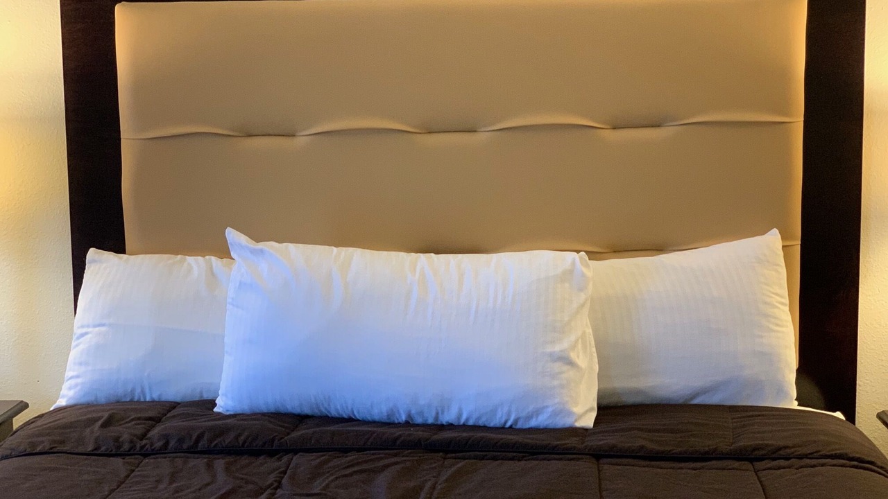 Photo of Others in Harold