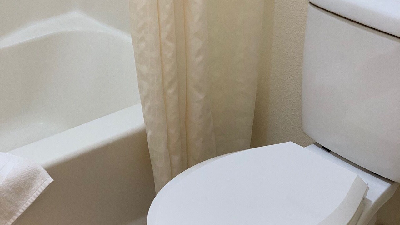 Photo of Others in Harold