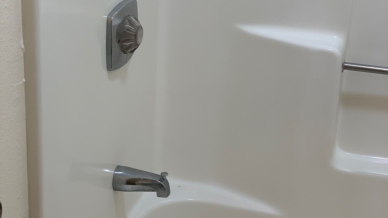 Photo of Others in Harold