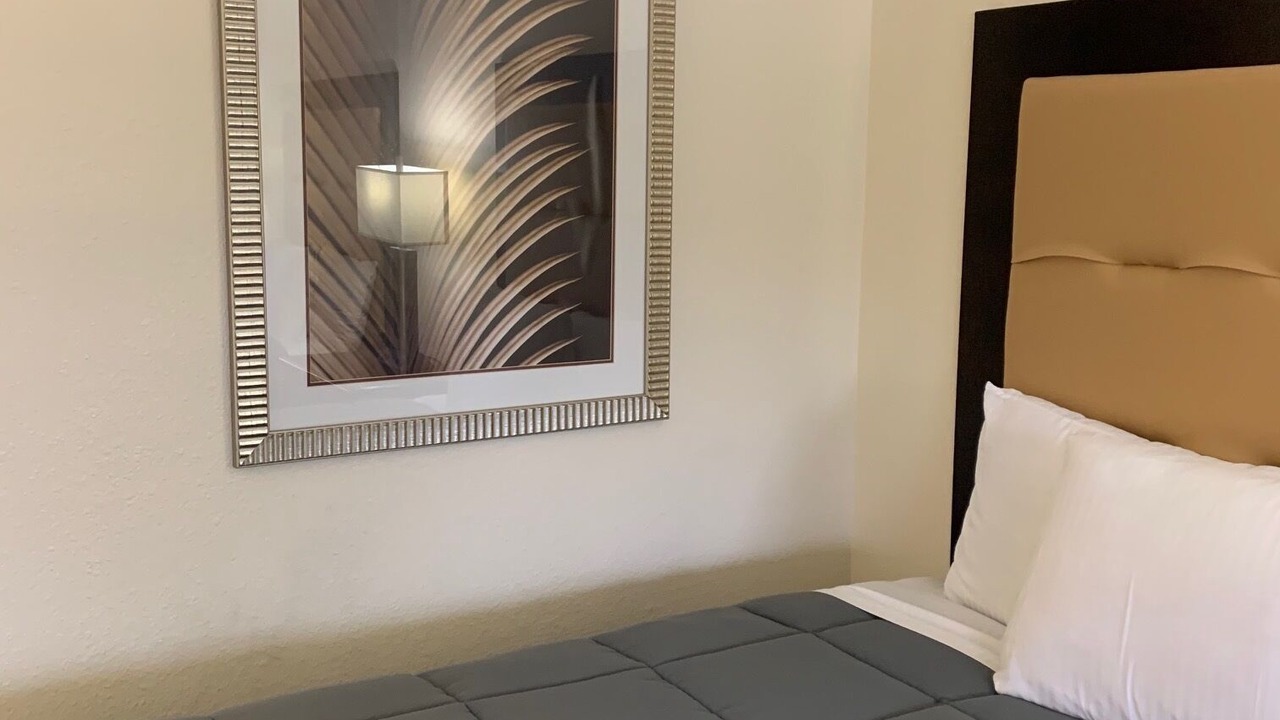 Photo of Others in Harold