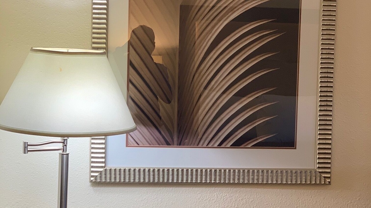 Photo of Others in Harold