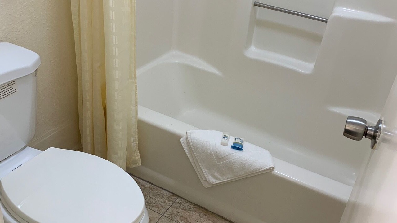 Photo of Others in Harold