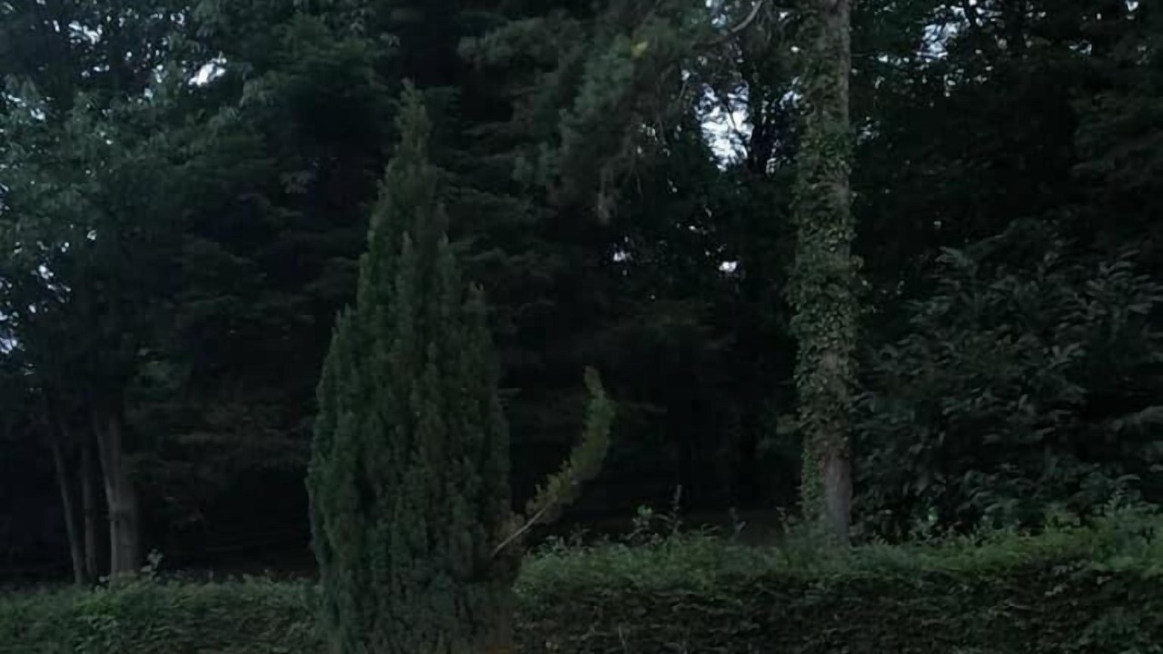 Photo of Outdoor in Villeneuve-de-Marc