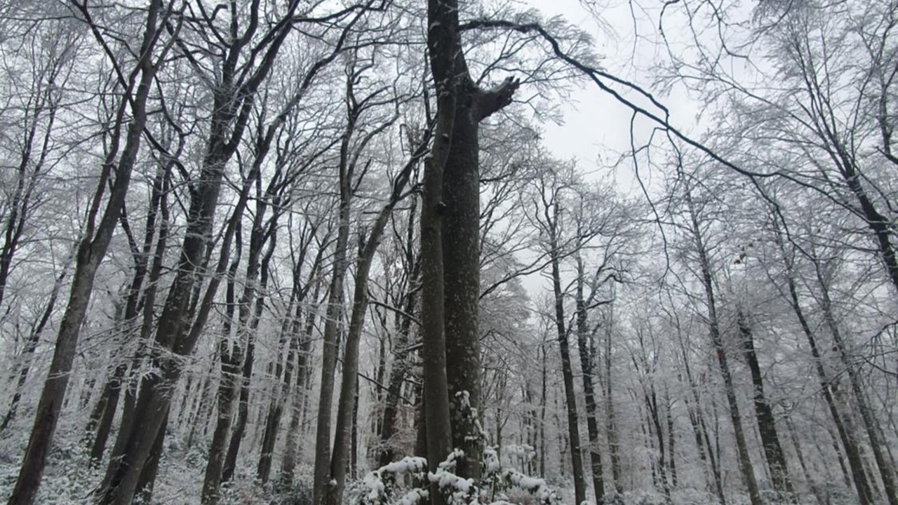 Photo of Outdoor in Villeneuve-de-Marc