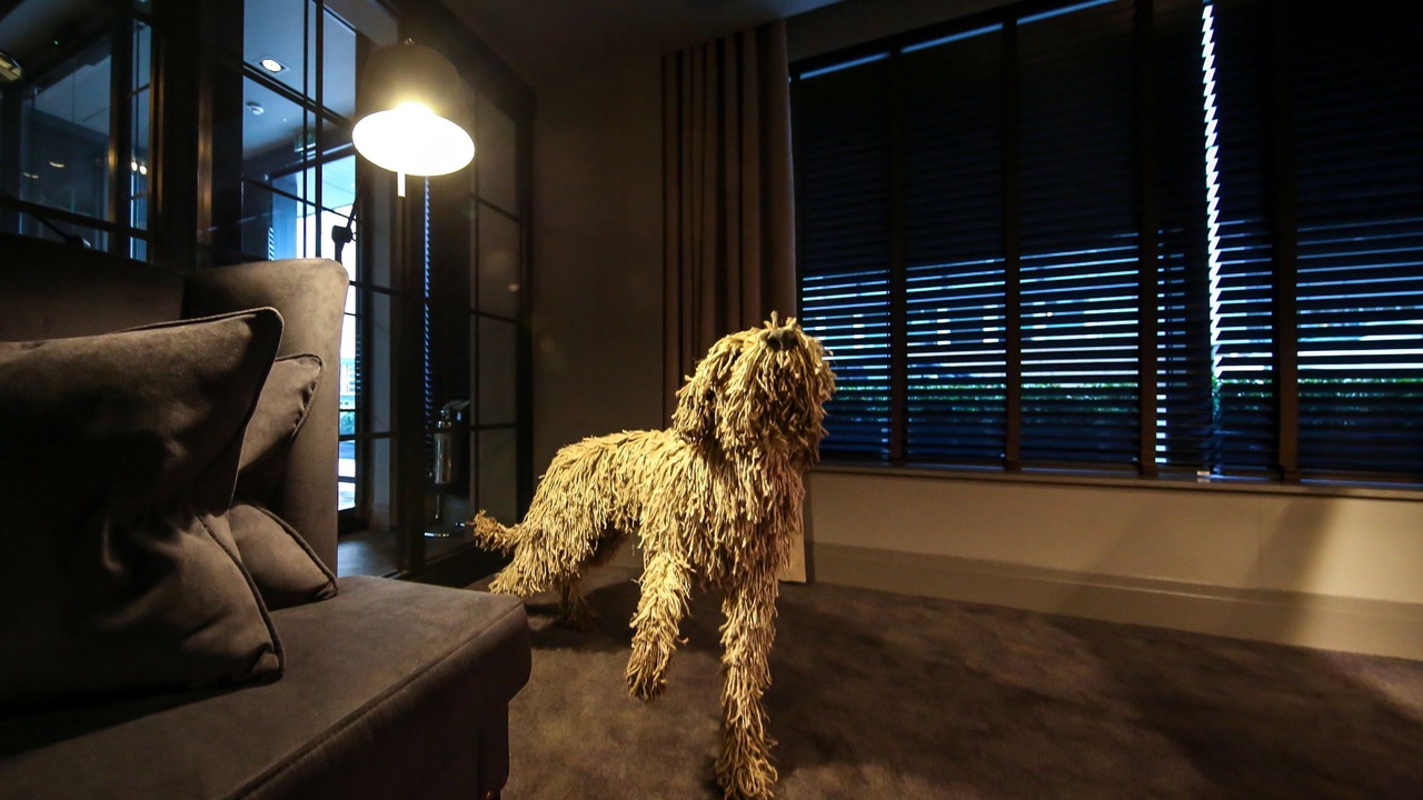 Photo of Others in City Centre Glasgow