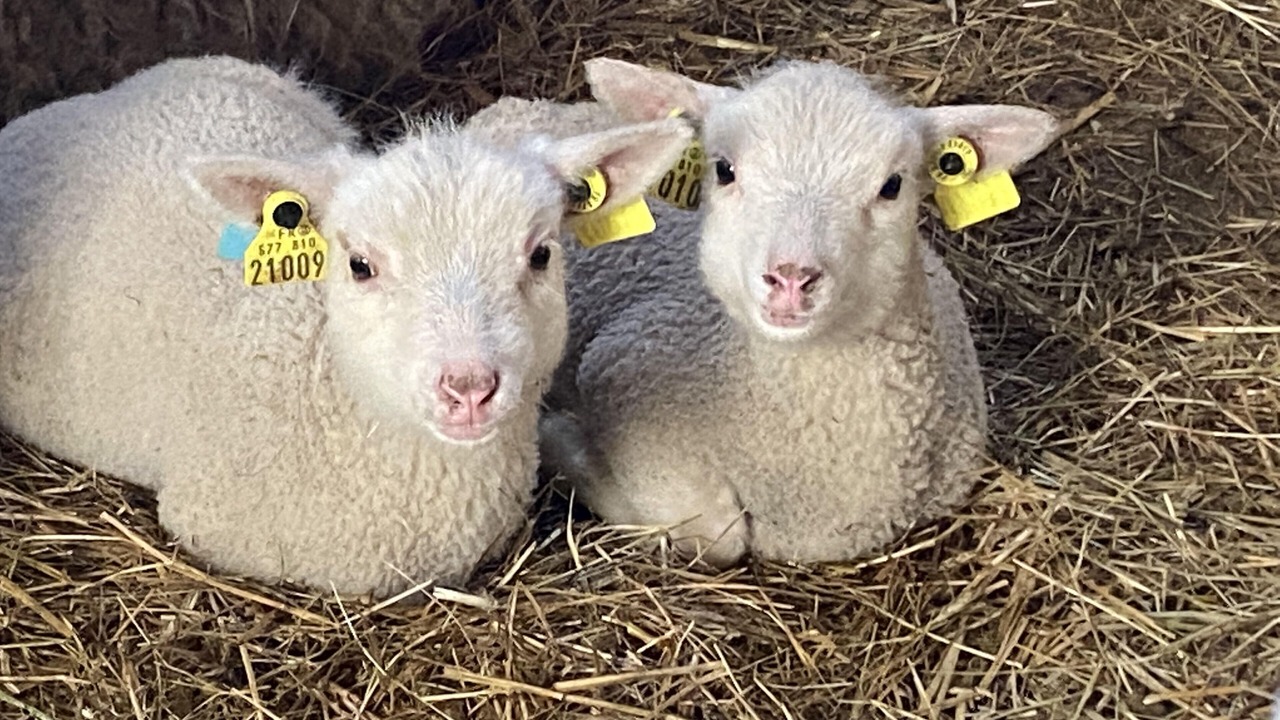 Photo of Outdoor in Velleches