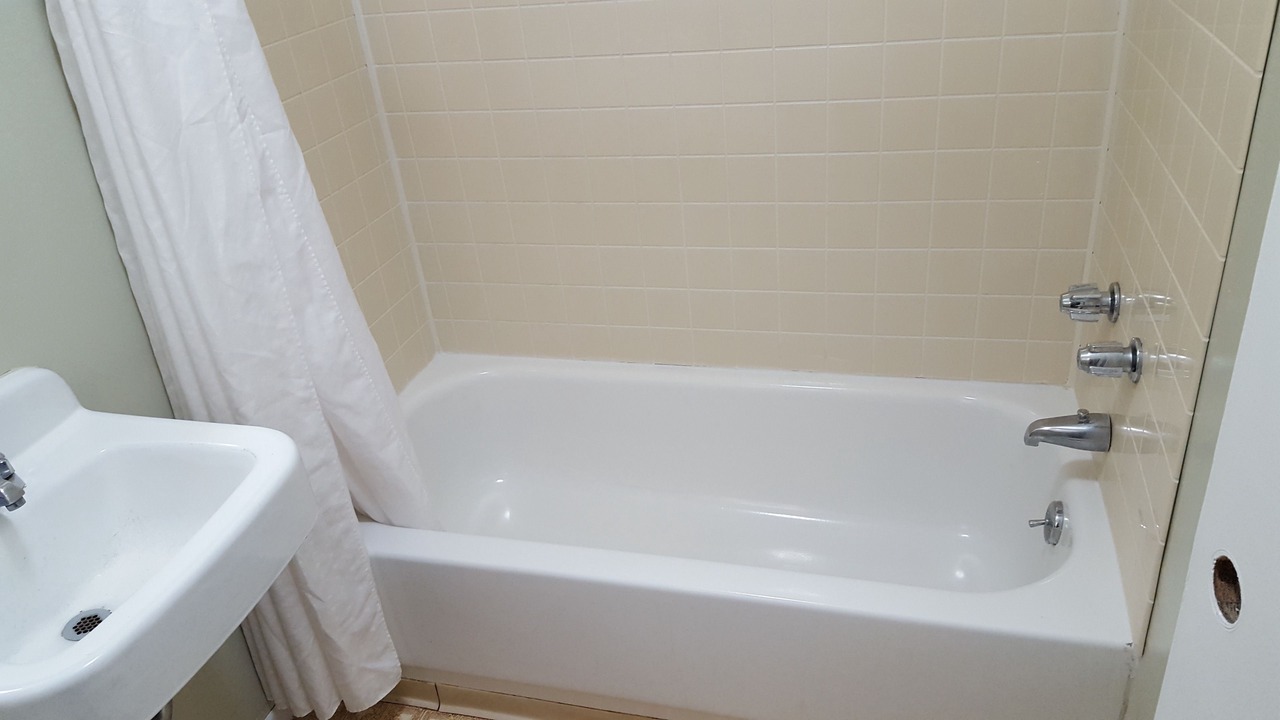 Photo of Bathroom in Batavia