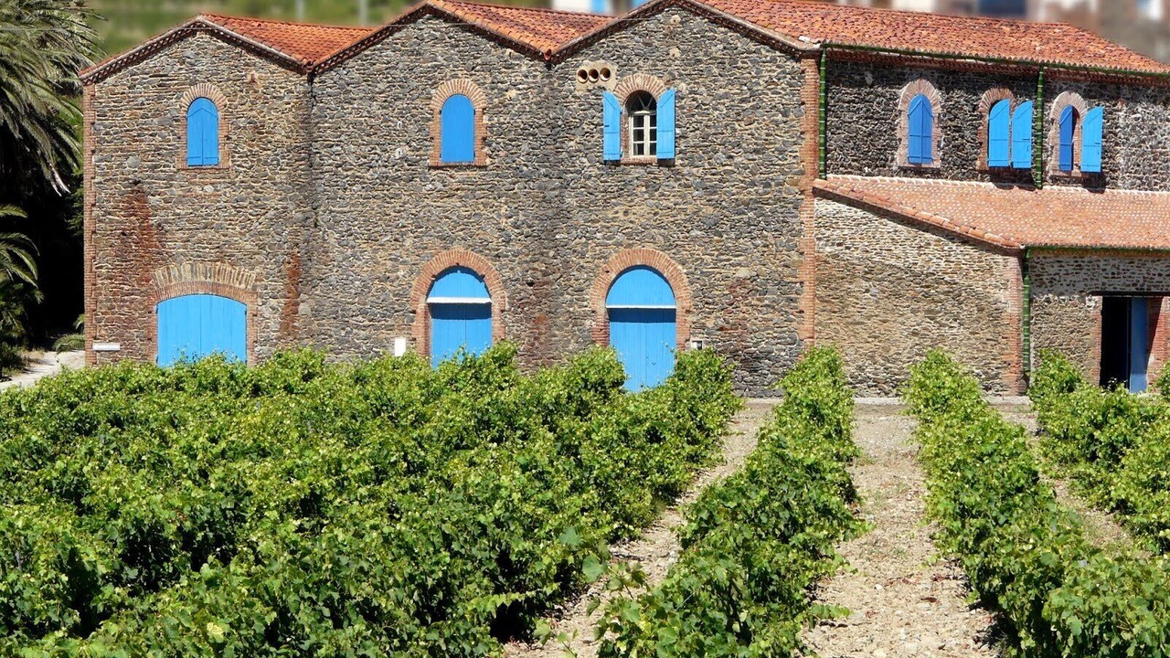 Photo of Others in Port-Vendres