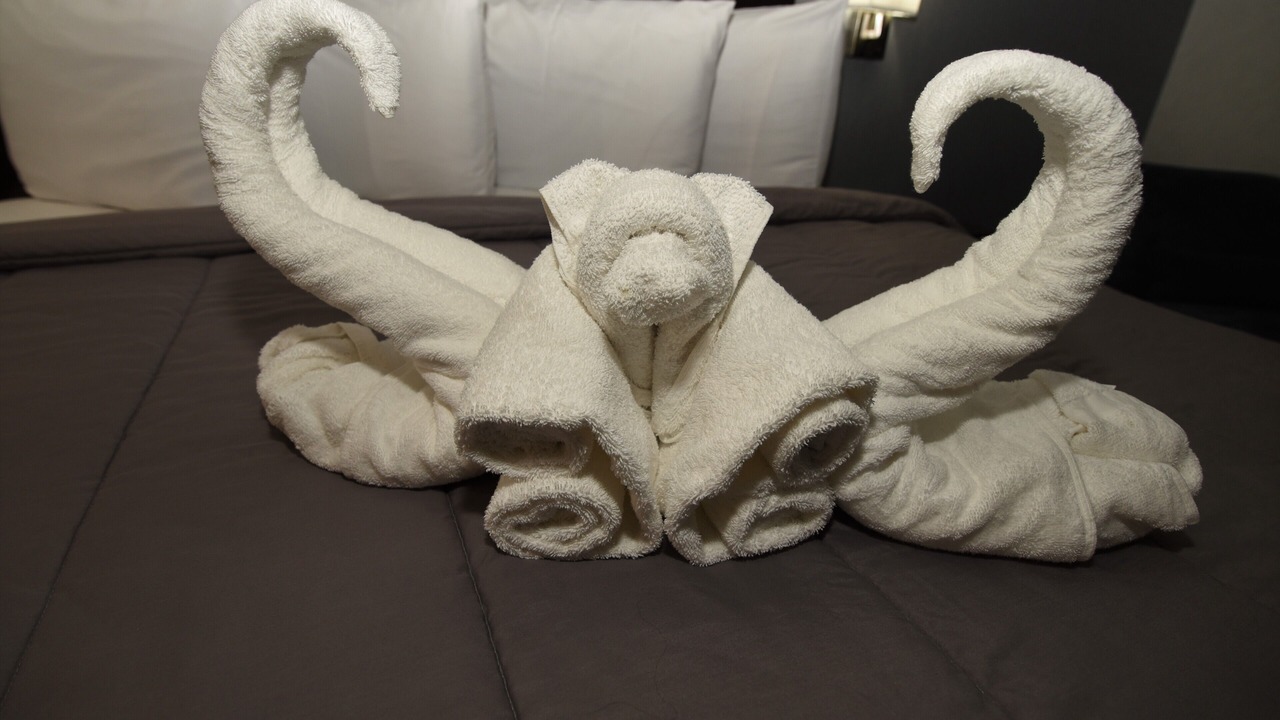 Photo of Bedroom in Galloway