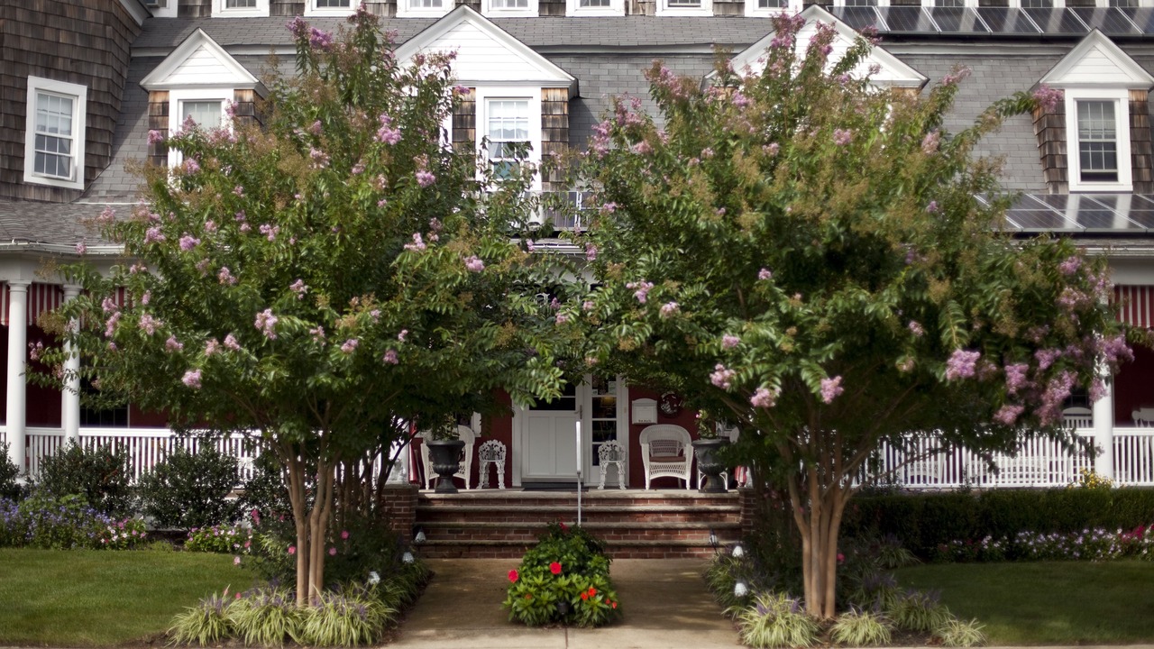 Photo of Outdoor in Spring Lake