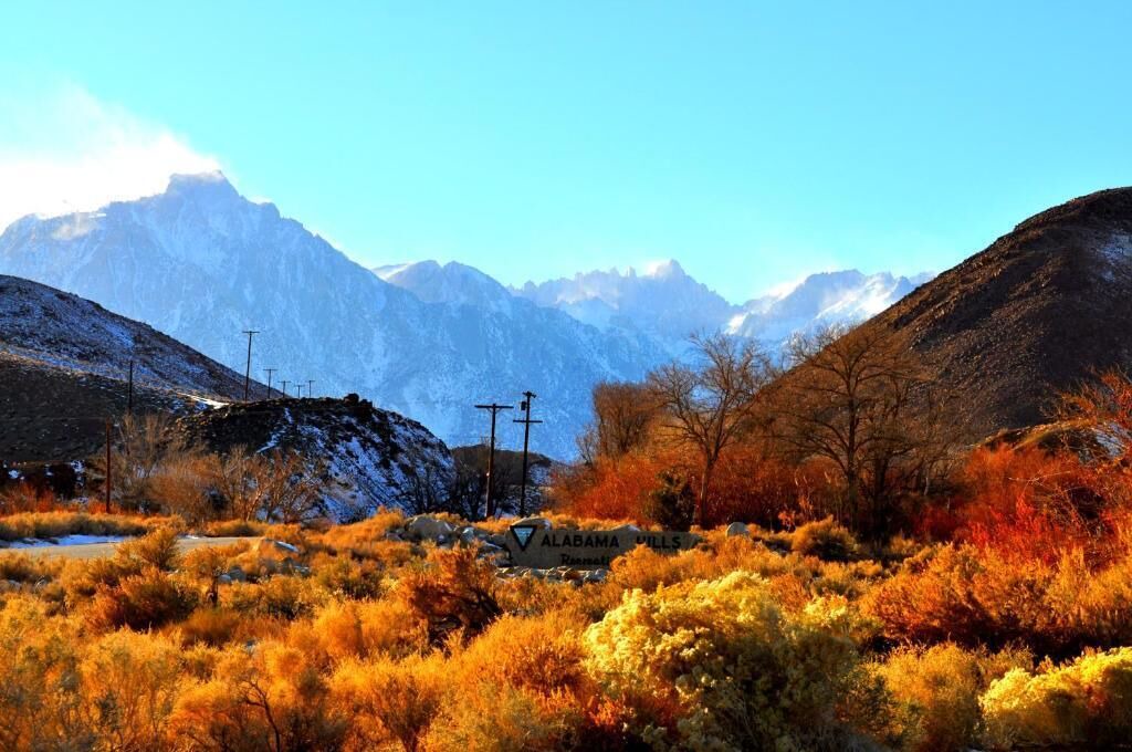 Photo of Others in Lone Pine