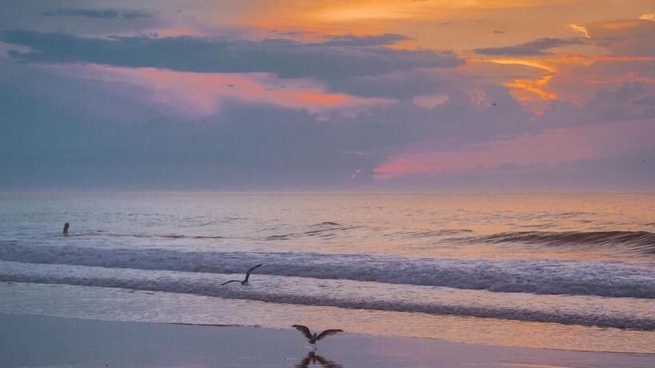 Photo of Others in Wall