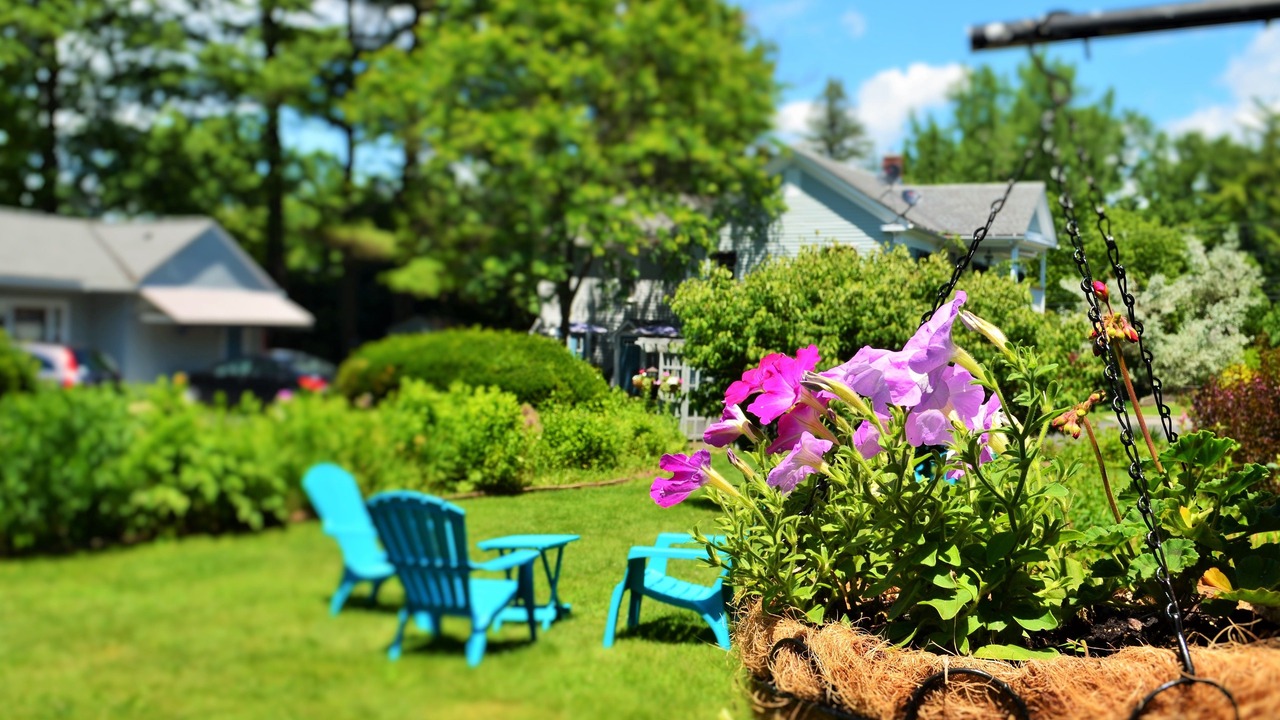 Photo of Outdoor in Williamstown