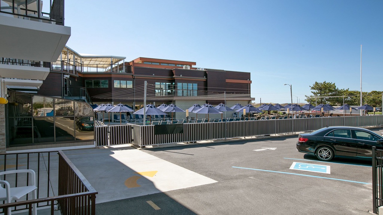 Photo of Others in Avalon