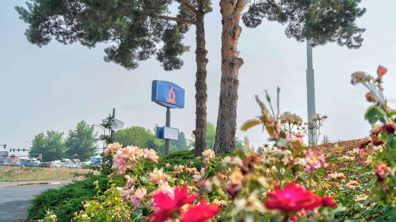 Photo of Outdoor in Albany