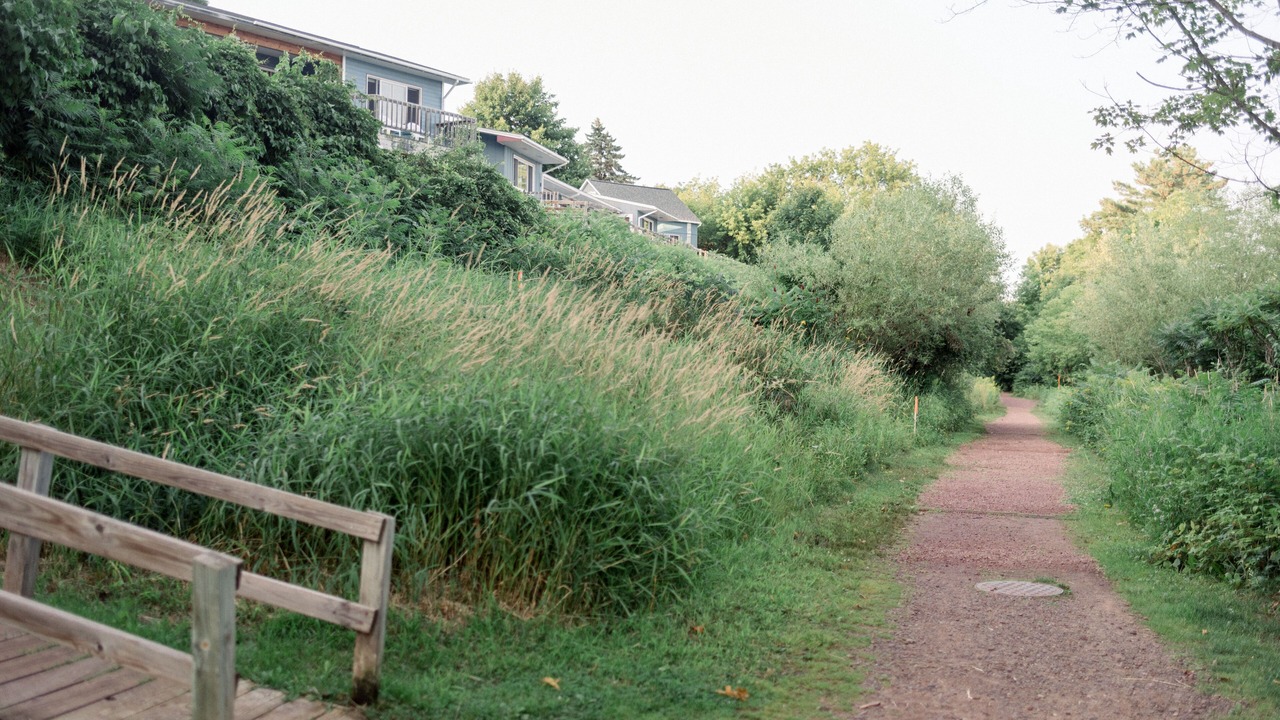 Photo of Outdoor in Bayfield
