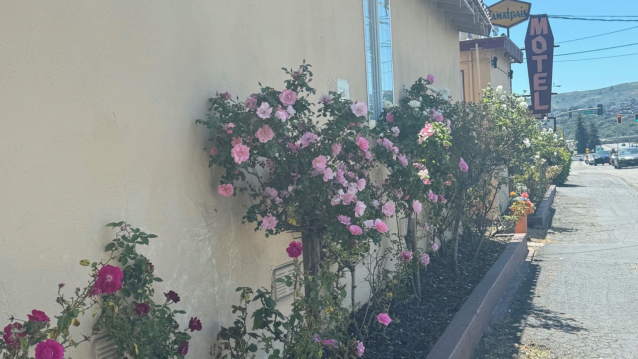 Photo of Outdoor in Strawberry