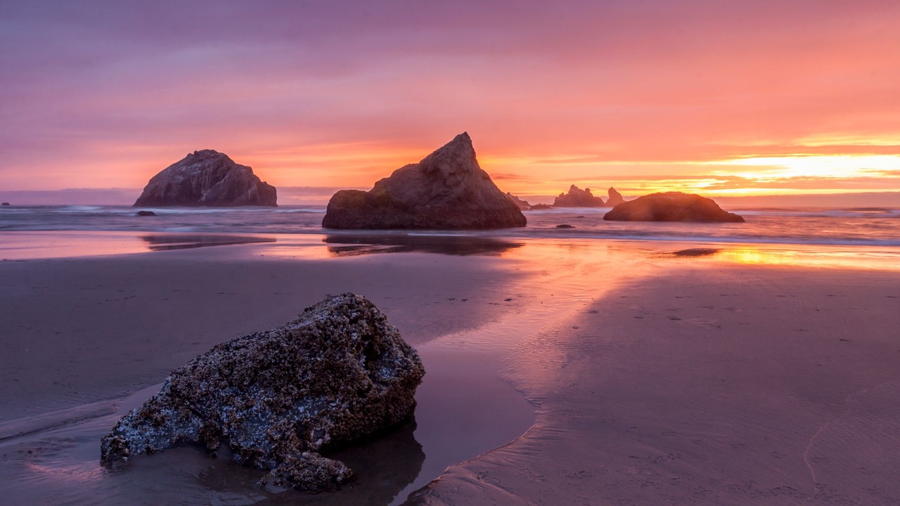 Photo of Others in Bandon