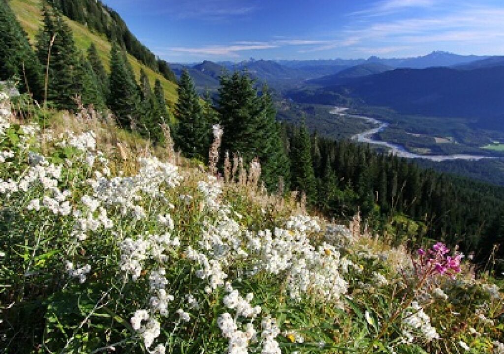 Photo of Others in Marblemount