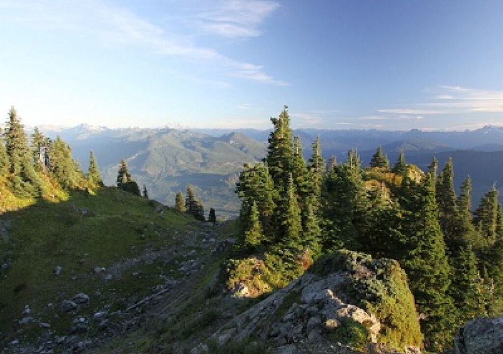 Photo of Others in Marblemount