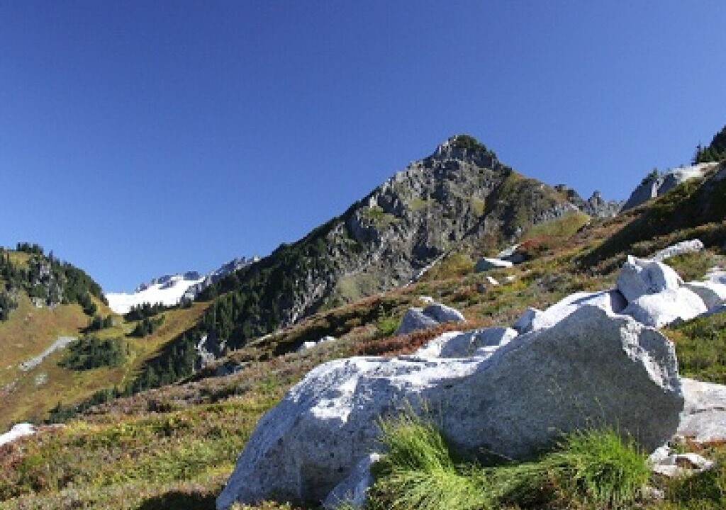 Photo of Others in Marblemount