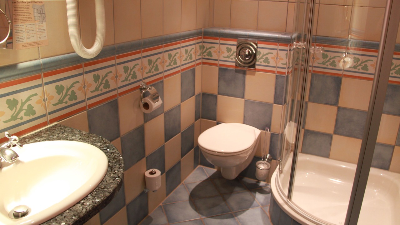 Photo of Bathroom in Plaisance