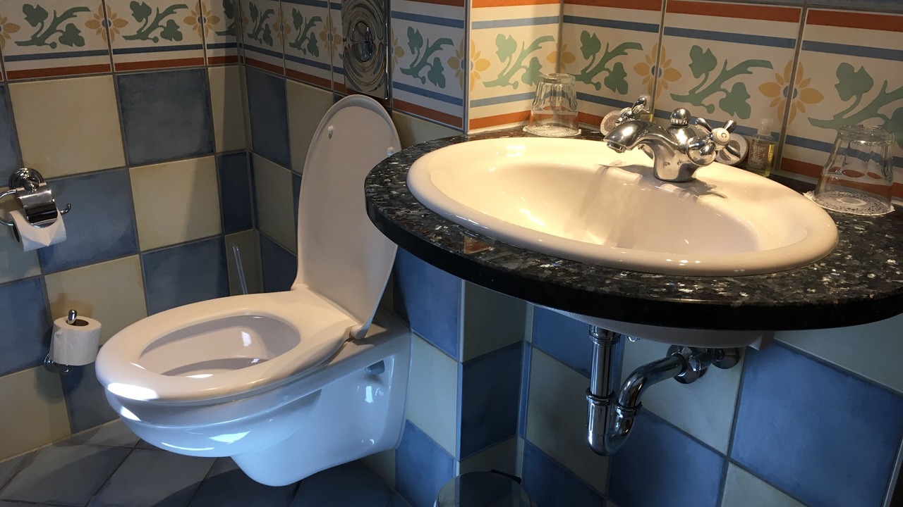 Photo of Bathroom in Plaisance