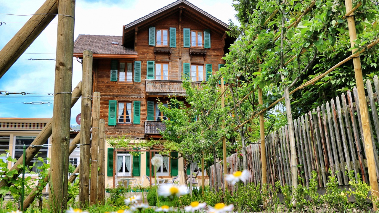 Photo of Outdoor in Wilderswil