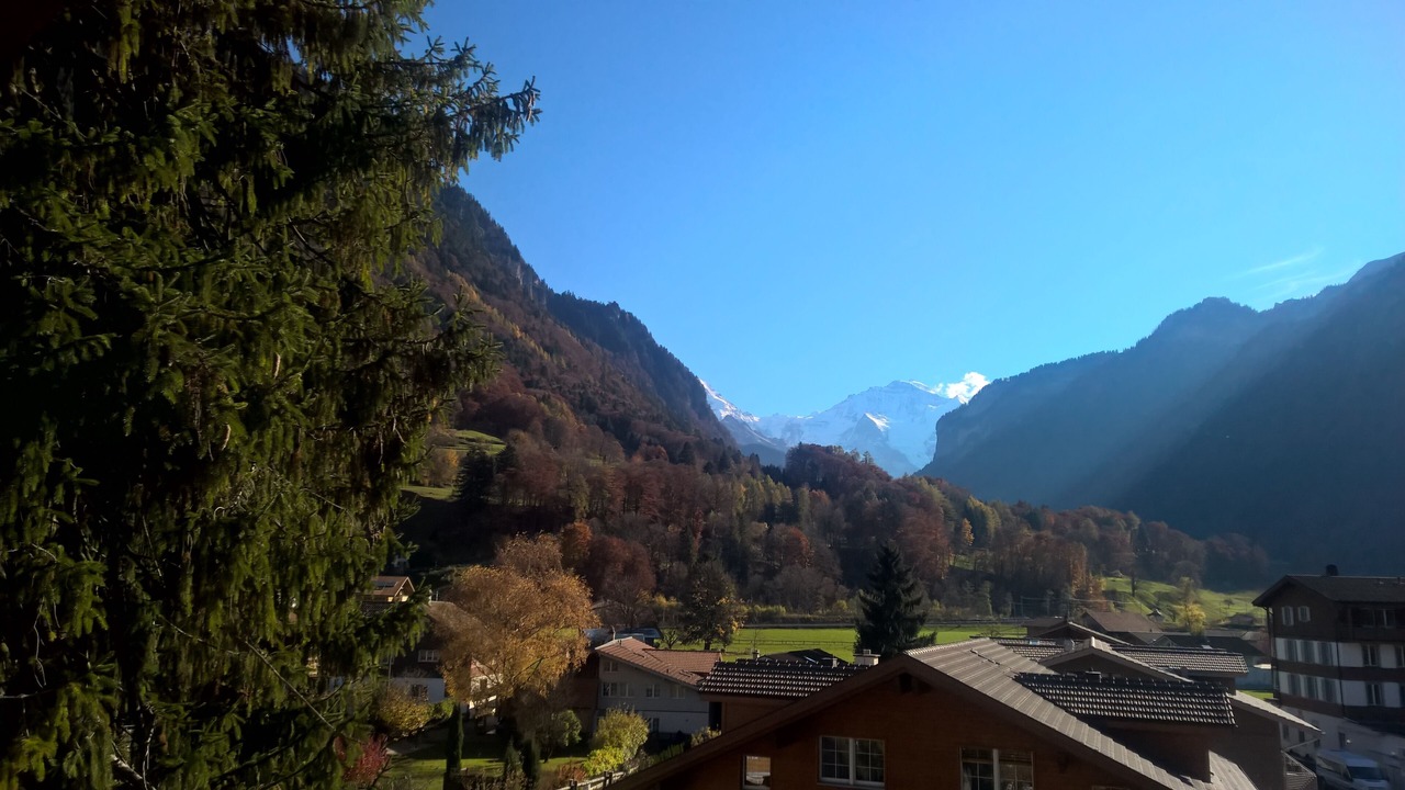 Photo of Others in Wilderswil