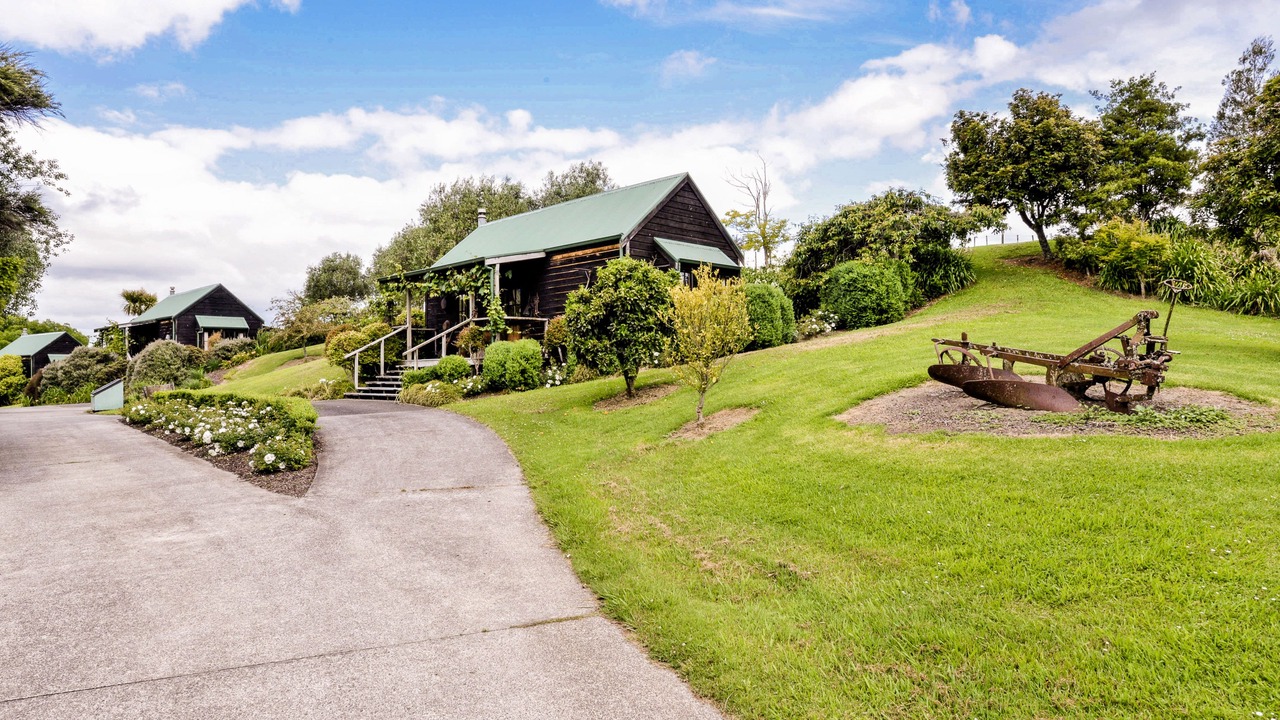 Photo of Outdoor in Helensville