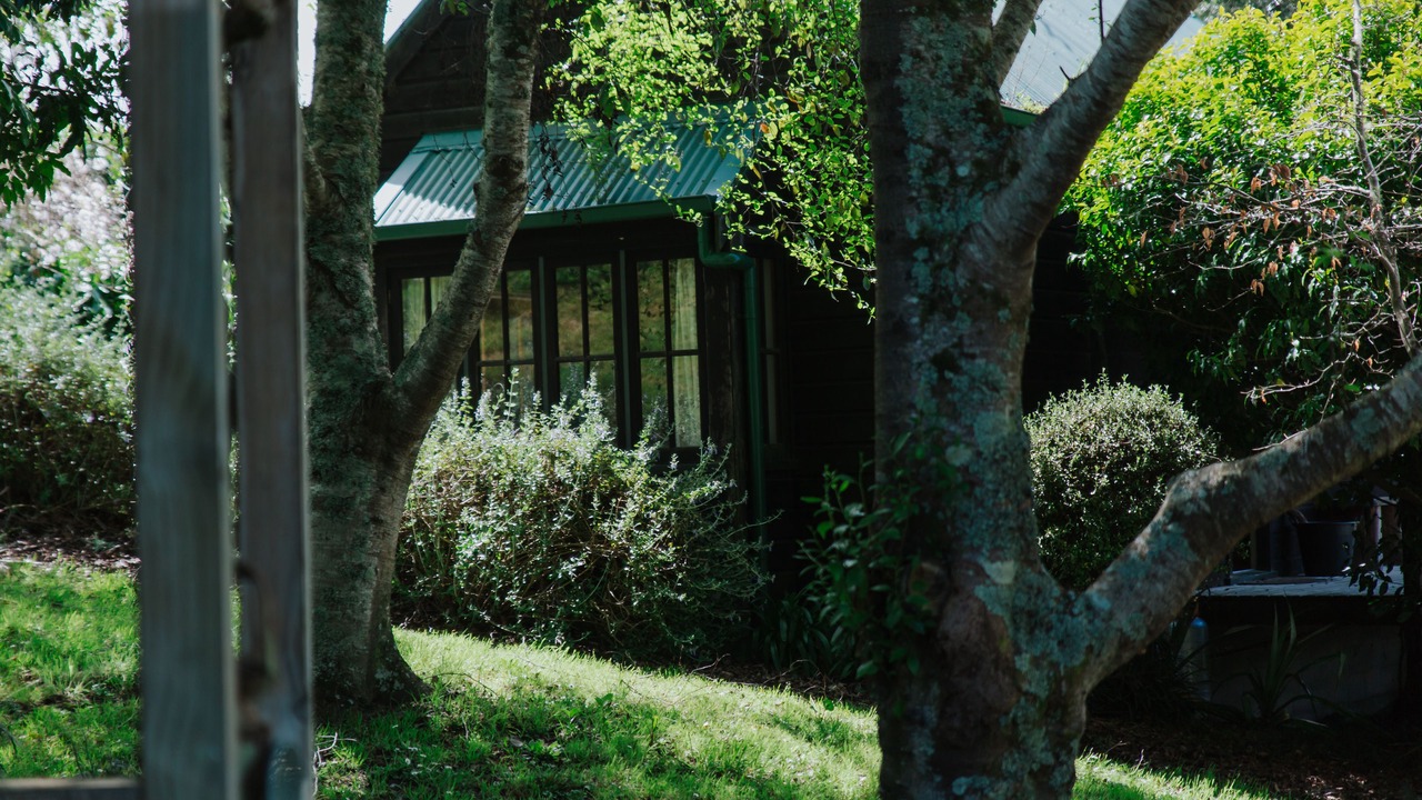 Photo of Outdoor in Helensville