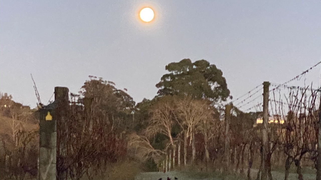 Photo of Others in Helensville