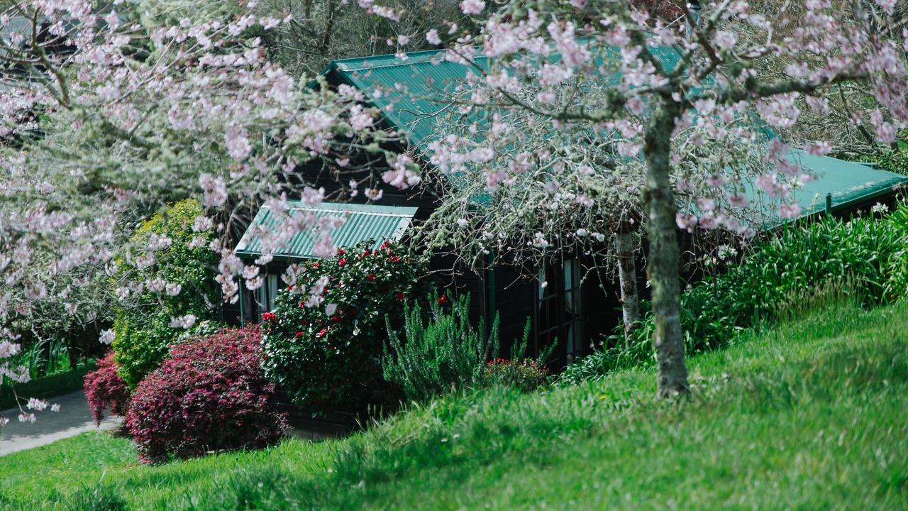 Photo of Others in Helensville