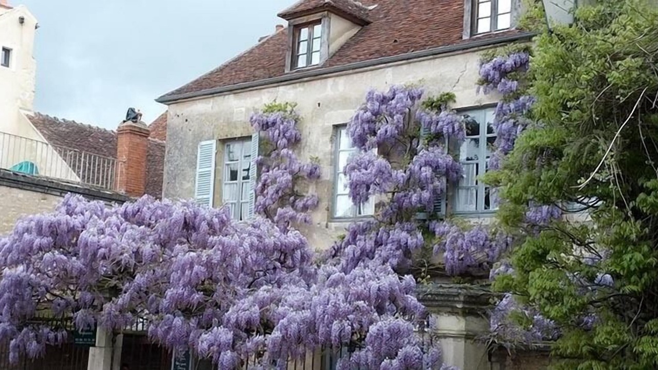 Photo of Outdoor in Vezelay