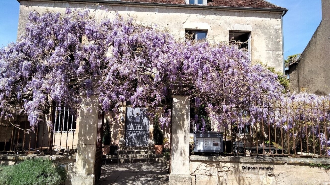 Photo of Outdoor in Vezelay