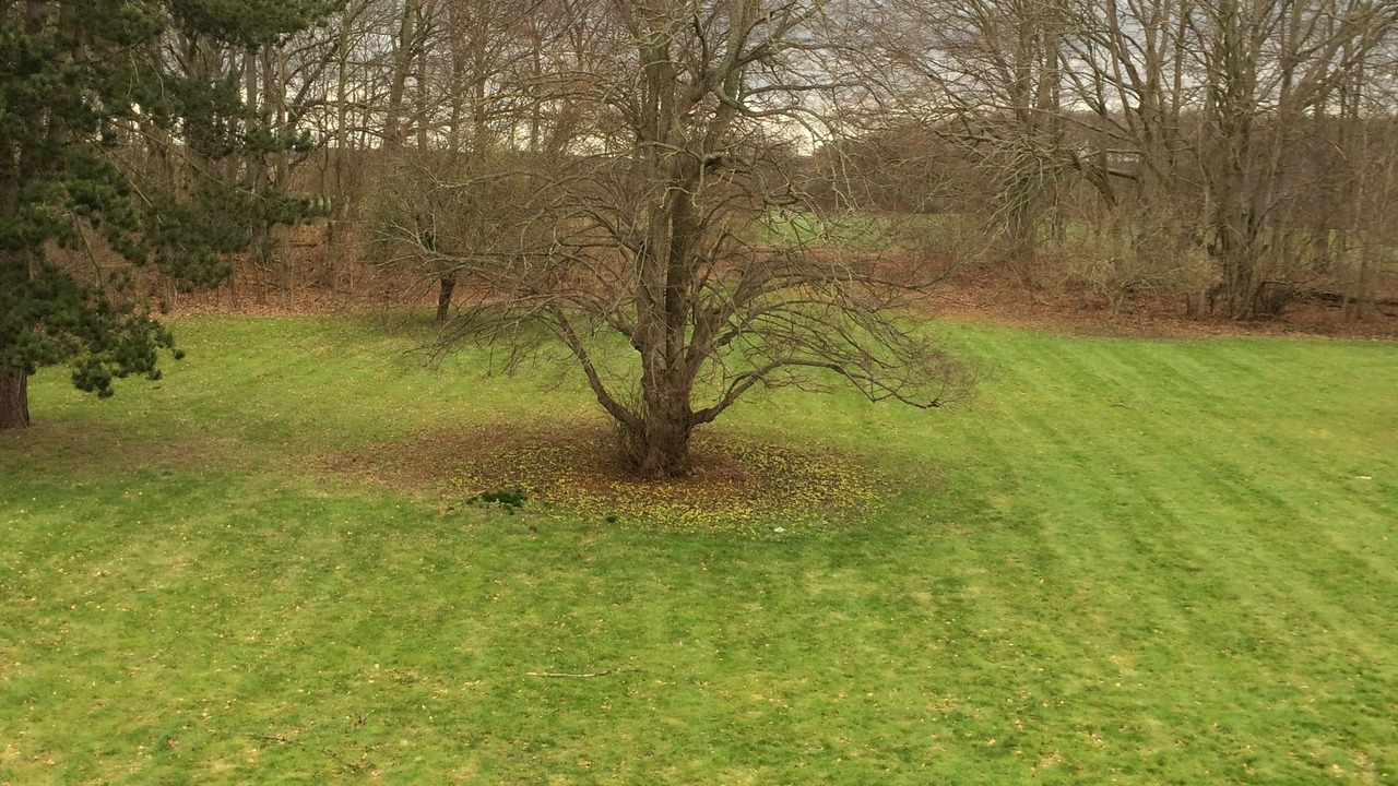 Photo of Others in Lundby