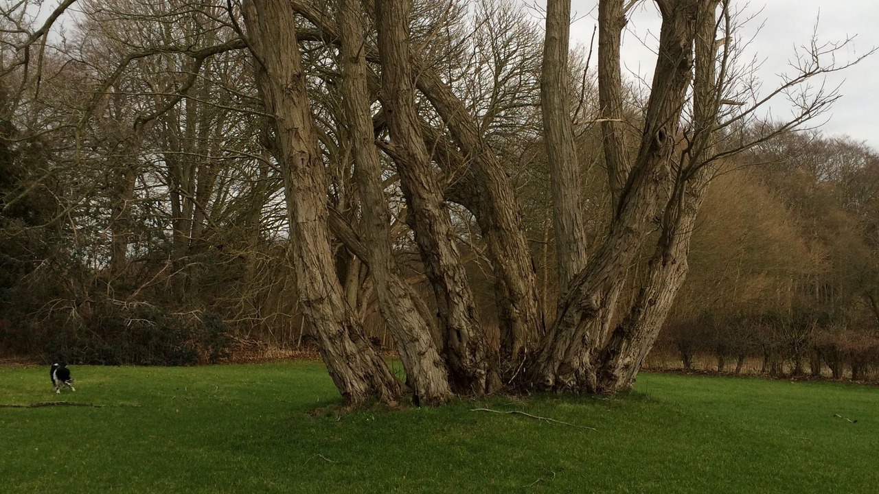 Photo of Others in Lundby