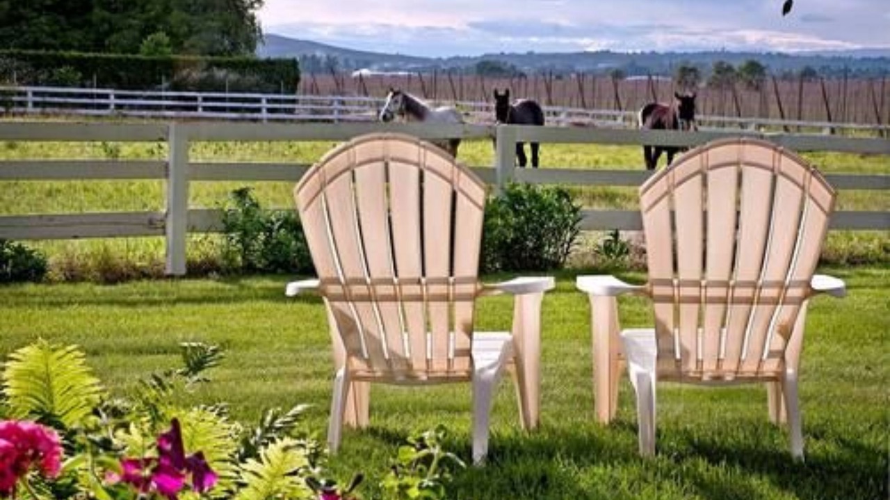 Photo of Others in Grandview