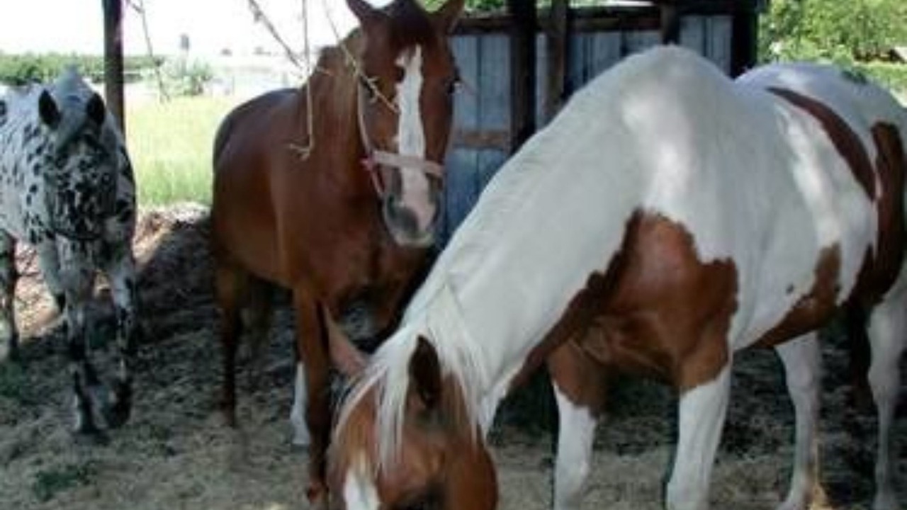 Photo of Outdoor in Grandview