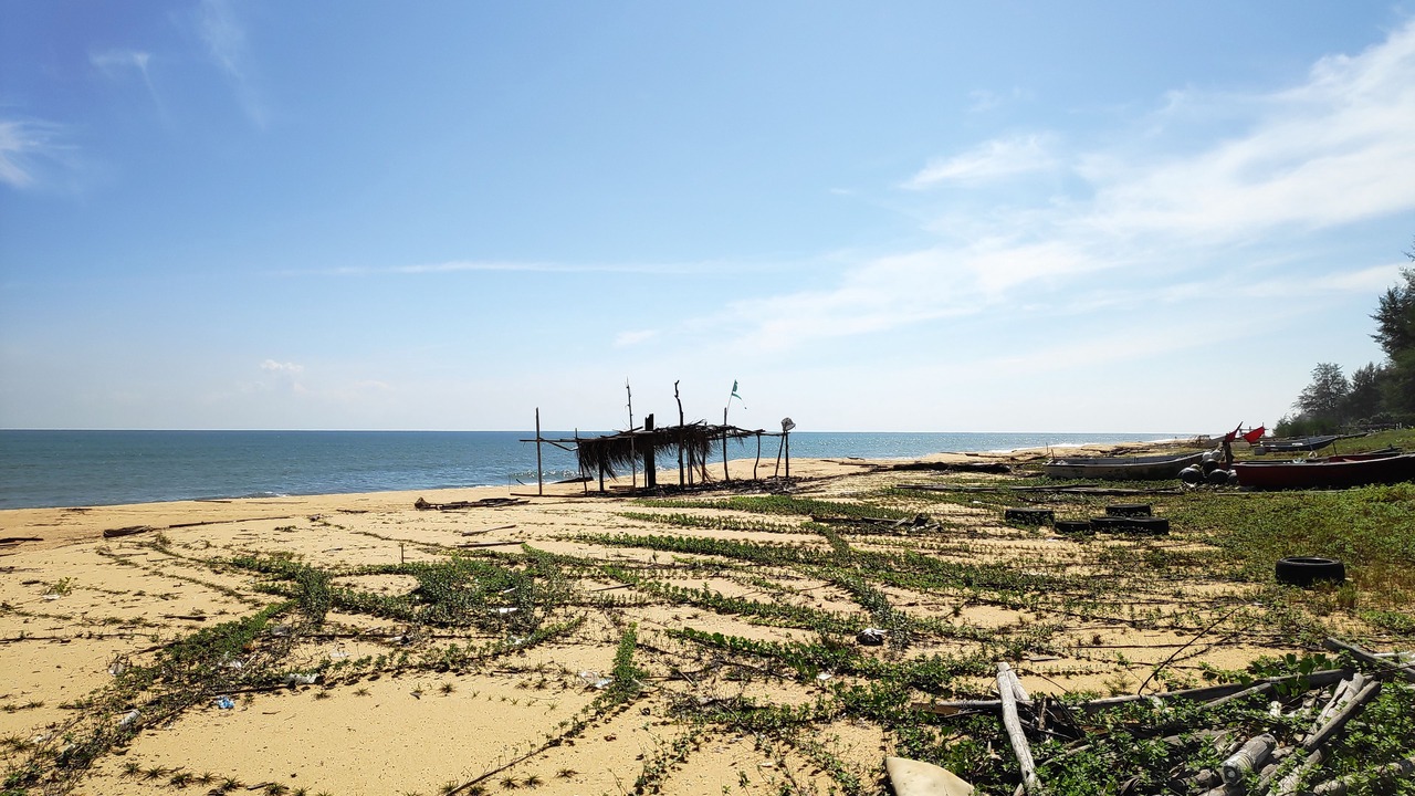 Photo of Others in Dungun