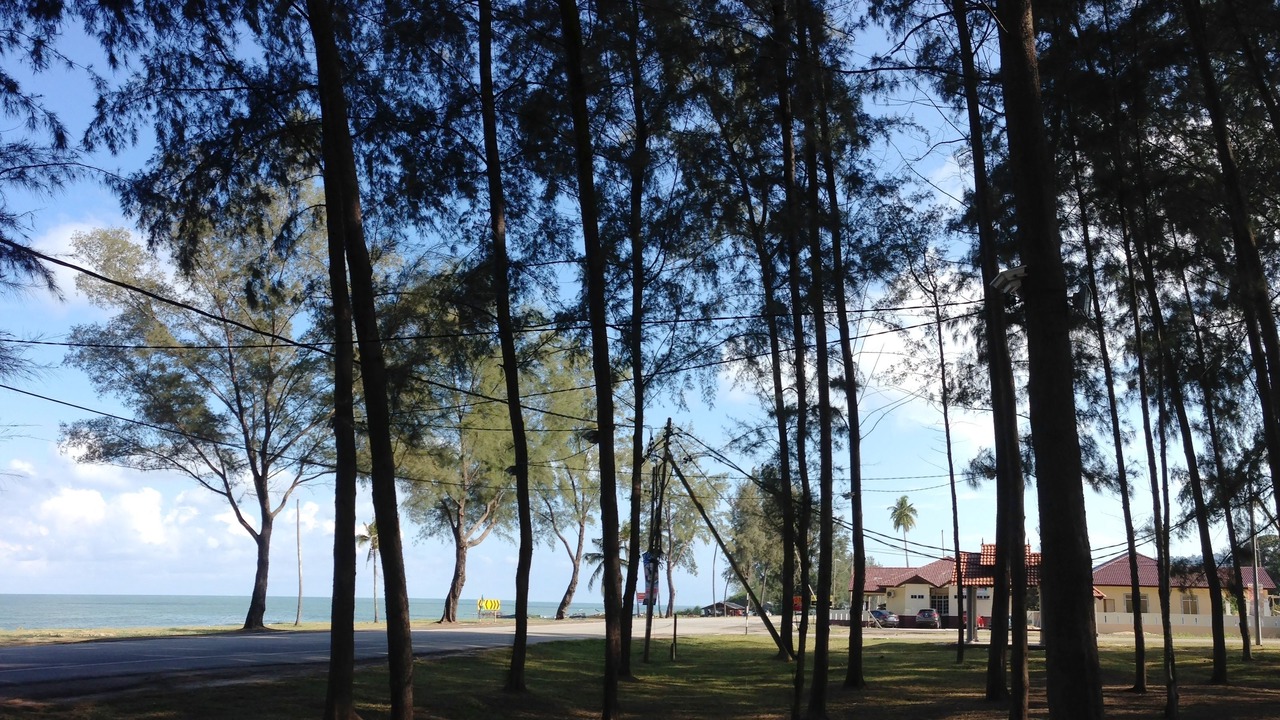 Photo of Others in Dungun