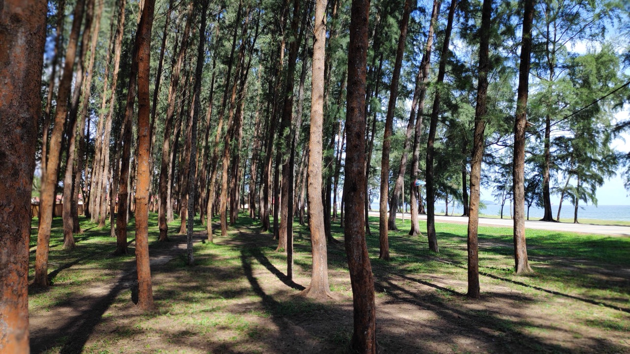 Photo of Others in Dungun