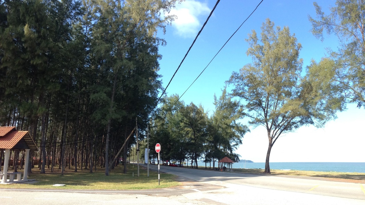 Photo of Others in Dungun