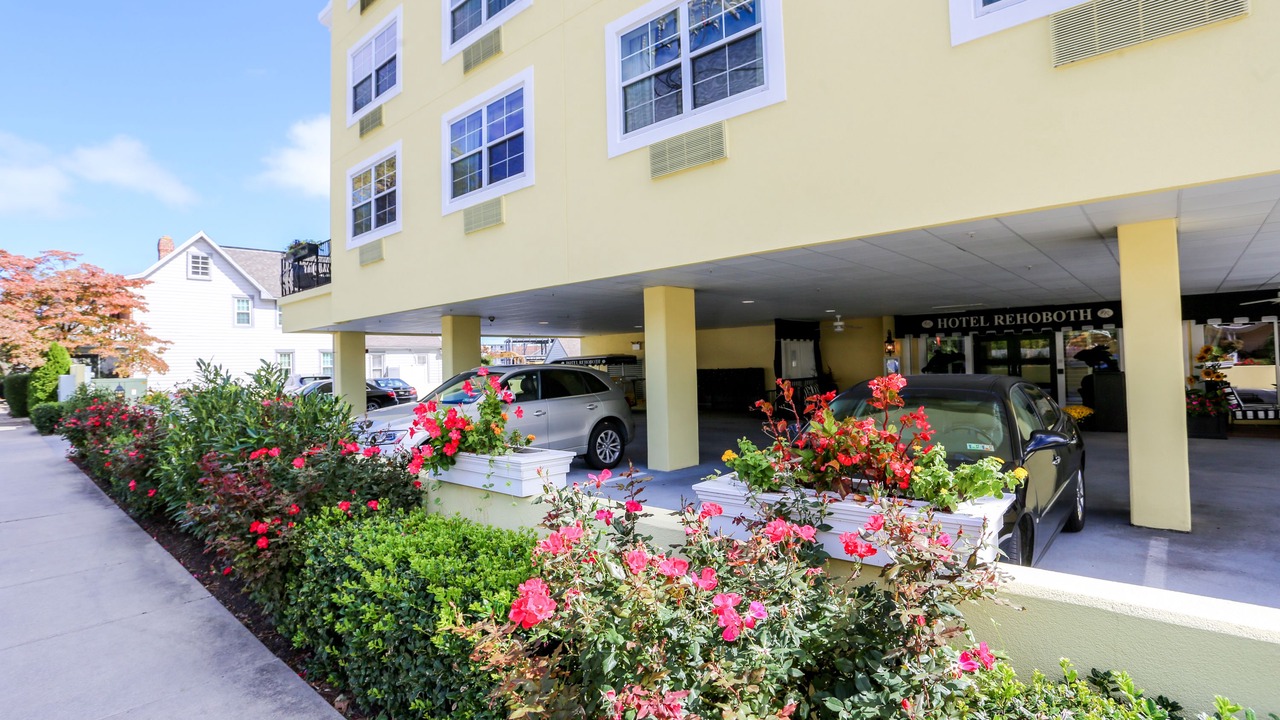 Photo of Outdoor in Rehoboth Beach