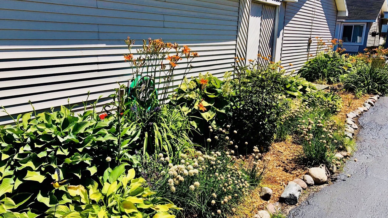 Photo of Outdoor in Sault Ste. Marie