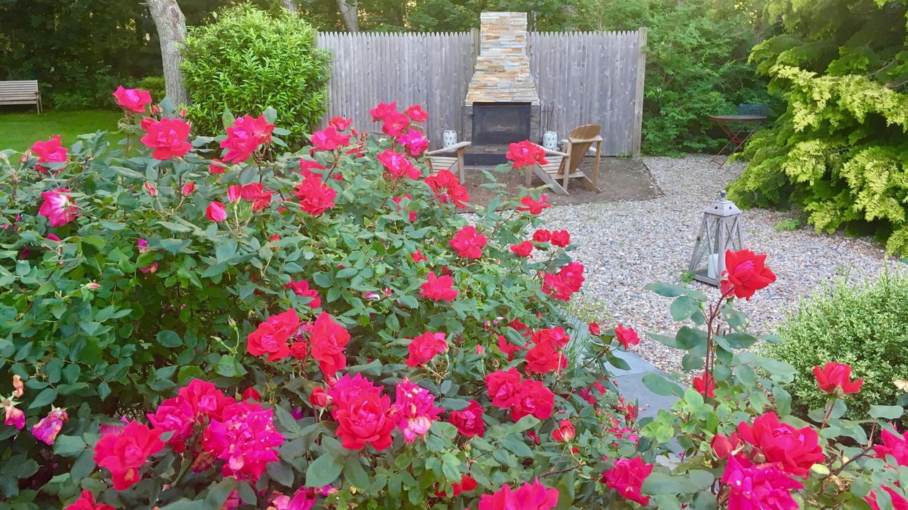 Photo of Outdoor in West Harwich