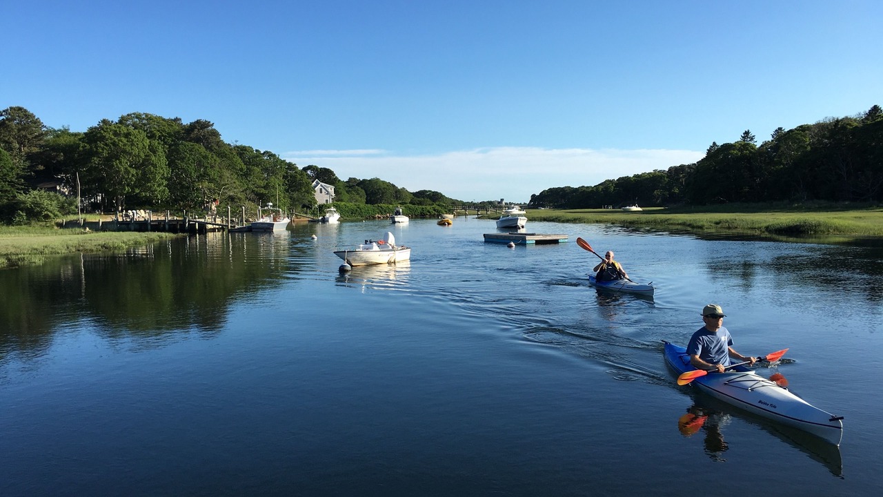 Photo of Others in West Harwich